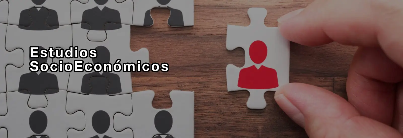 Estudios Socioeconómicos